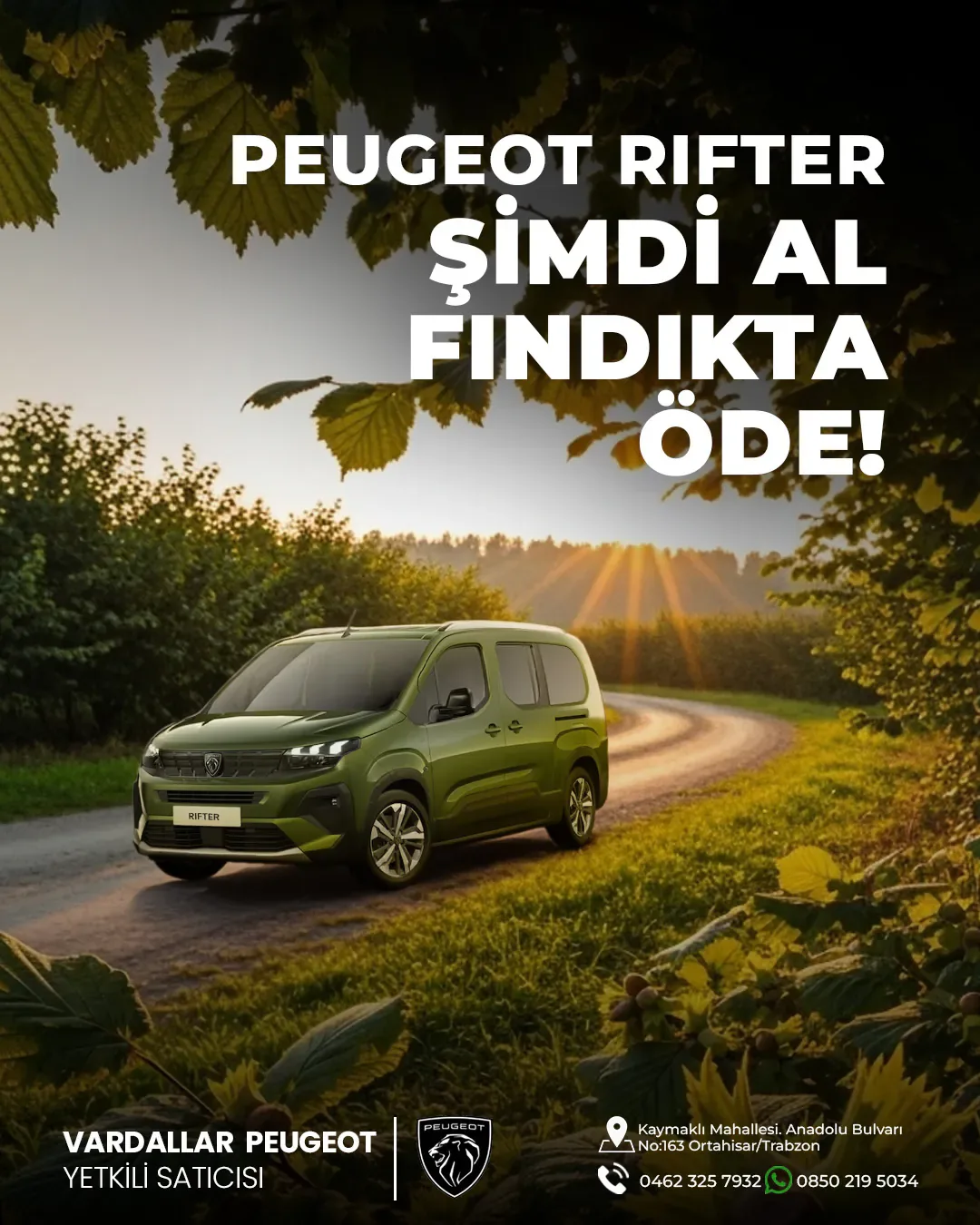 Vardallar Peugeot Rifter Fındıkta Öde Giresun sosyal medya referansı (Post)