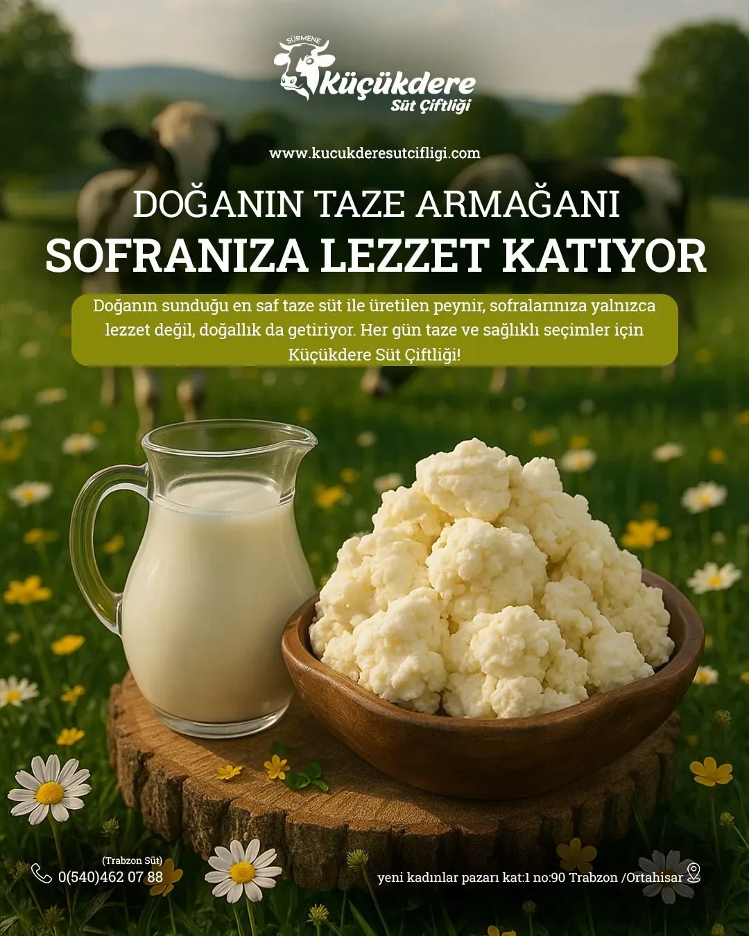 Küçükdere Süt Çiftliği Giresun sosyal medya referansı (Post)